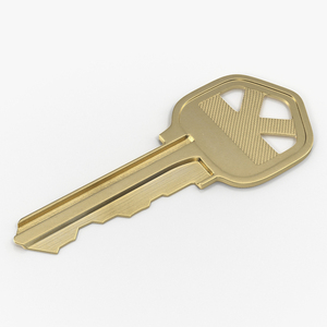 3D Bronse House Key