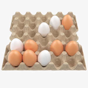 3D model Carton 30 Cells Cardboard with Eggs