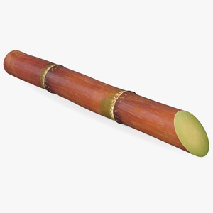 Sugarcane Purple Stick 3D