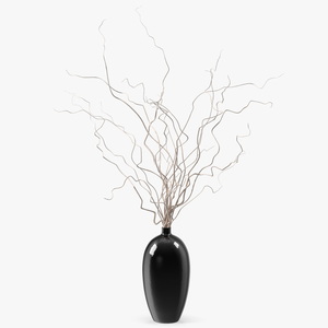 3D White Curly Willow Branches in Black Vase