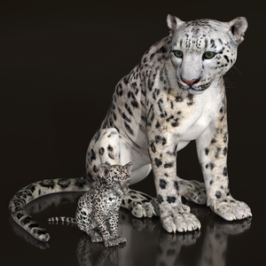 3D Mother and Baby Snow Leopard model