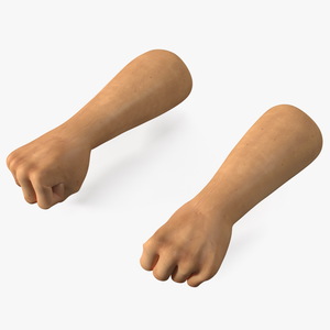 3D Realistic Human Male Arms with Fists