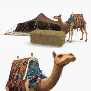 Traditional Bedouin Tent with Camel Fur 3D model