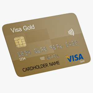 3D Visa Gold Credit Card