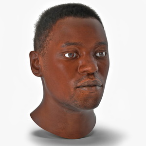 African American Male Head Rigged Fur 3D