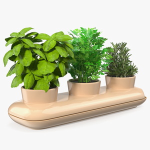 Ceramic Trio Pot with Herbs Sagaform Beige 3D