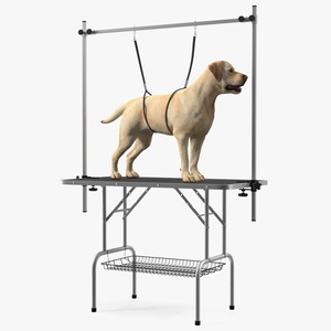 3D Grooming Table with Dog model