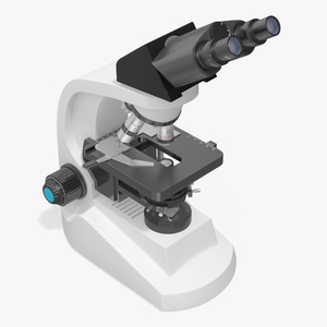 3D model Compound Light Microscope