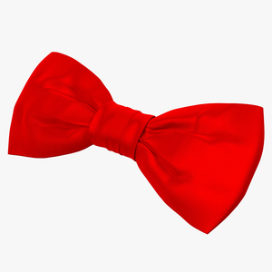 Bow Tie 3D model