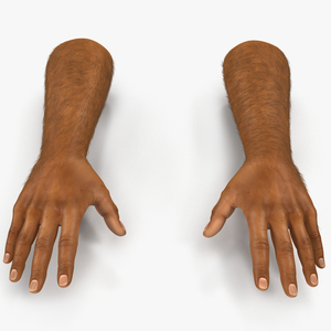 3D African Man Hands 2 with Fur model