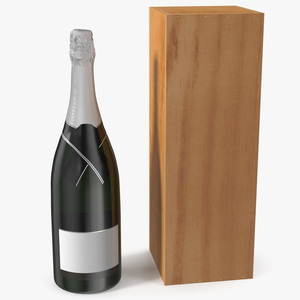 3D Premium Champagne with Wooden Box model