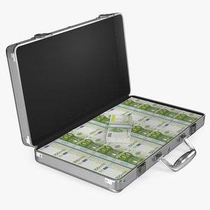 Aluminum Case Full of Euro Money 3D