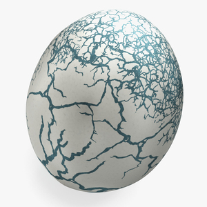 3D Fresh Dinosaur Egg model