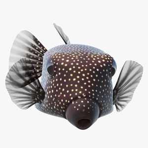 3D Brown Spotted Boxfish