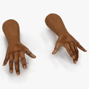 3D model African Man Hands 3 with Fur Pose 3