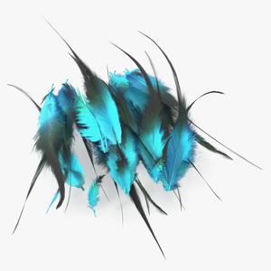 3D Blue Feathers model