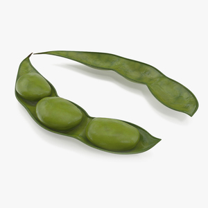 Green Soybean Pod Open 3D