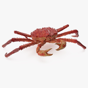 3D model Red King Crab Rigged