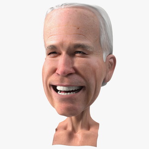 Cartoon Joe Biden Head Rigged 3D model