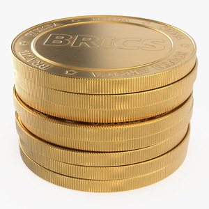 Pile of BRICS Coins 3D model