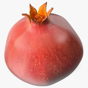 Pomegranate Fruit 3D