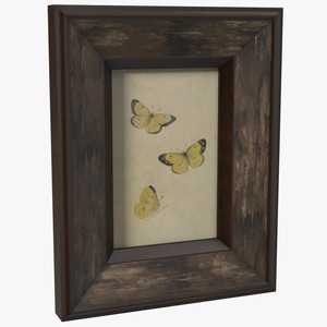 3D Rustic Wooden Frame with Butterflies