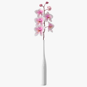 Tall Vase with Small Orchid Stem 3D