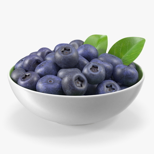 3D model Fresh Blueberries in Bowl