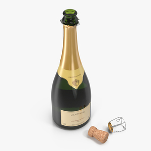 3D French Champagne Bottle Generic Opened model