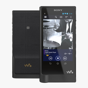 3D model Portable MP3 Digital Music Player Sony NW ZX2