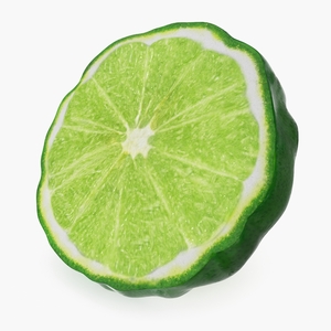 Bergamot Slice 3D model