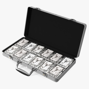 Cocaine Bricks in Briefcase 3D