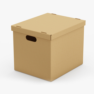 3D Cardboard Box model