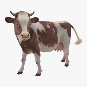 3D Red and White Cow with Fur