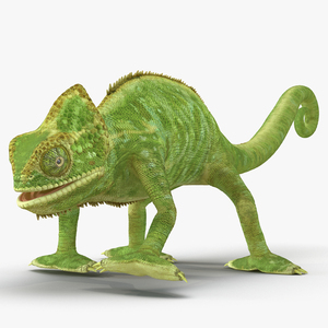 3D Chameleon Rigged