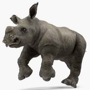 Rhino Baby Running Pose Fur 3D