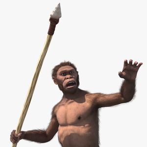 Homo Habilis with Spear Fur 3D