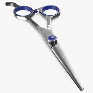 Professional Barber Straight Edge Scissors 3D