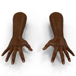 3D African Man Hands with Fur Pose 4 model