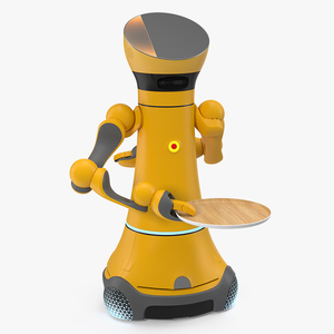 3D model Service Robot with Wooden Tray