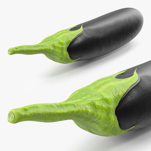 3D Black European Eggplant model