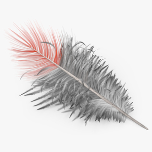 3D model Northern Cardinal Feather