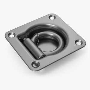 Stainless Steel D-Ring Anchor 3D model