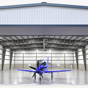 3D Aircraft Hangar with Airplane Rigged