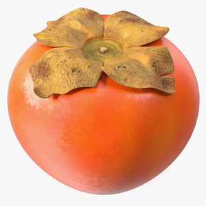 3D model Persimmon Fruit