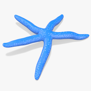 3D Blue Starfish model