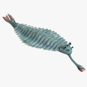 3D Green Opabinia Rigged