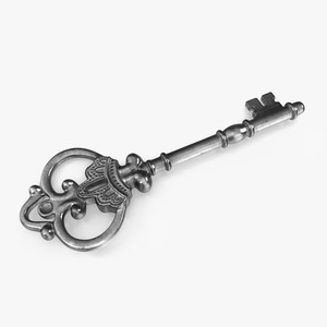 3D model Decorative Skeleton Key Silver