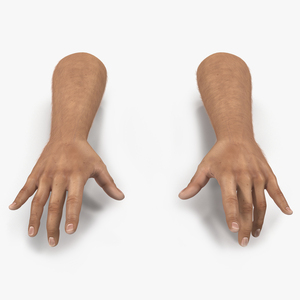 3D model Man Hands with Fur Pose 3