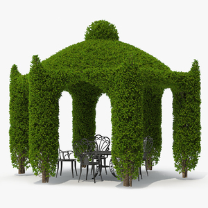 Ivy Gazebo with Garden Furniture 3D